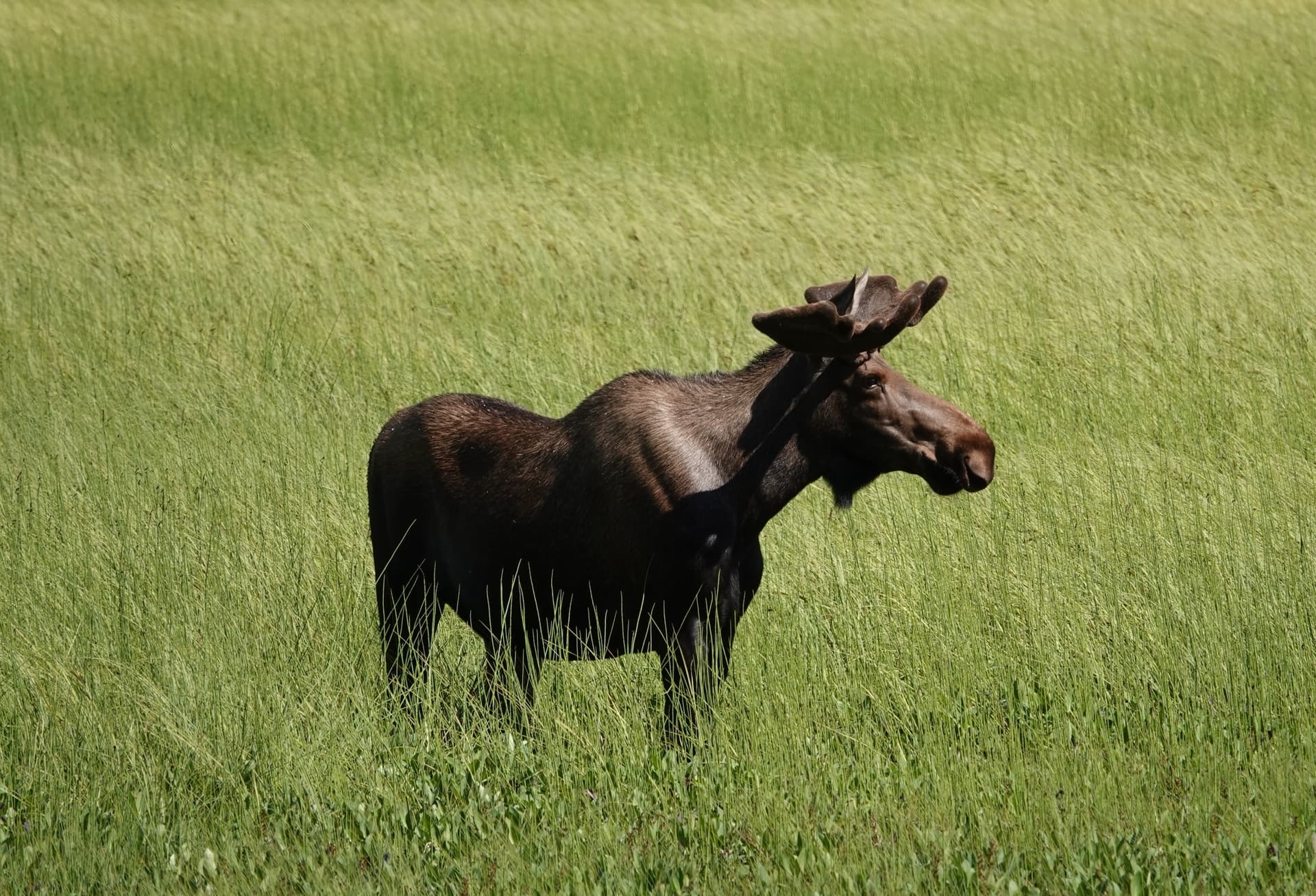 Dylan Boudro photography