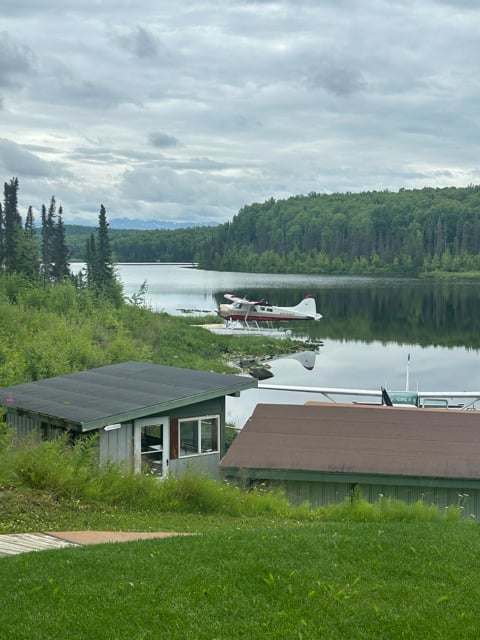 Alaska lakefront cabins and forest under cloudy sky