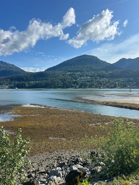 Coastal wetland and mountains in Alaska