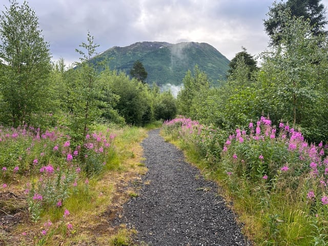 Fireweed-lined trail below misty Alaska mountains