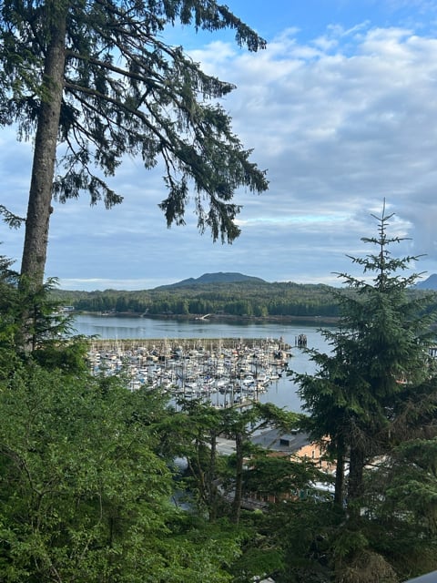 Forest and lake view in Alaska