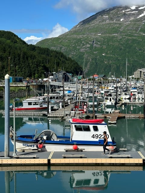 Harbor marina below green Alaska mountains