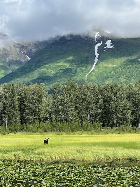 Mountain waterfall above a green Alaska meadow