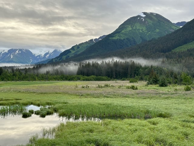 Wetland and mountain view from an Alaska highway