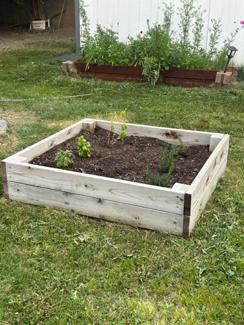 Empty raised wood planter bed in the backyard