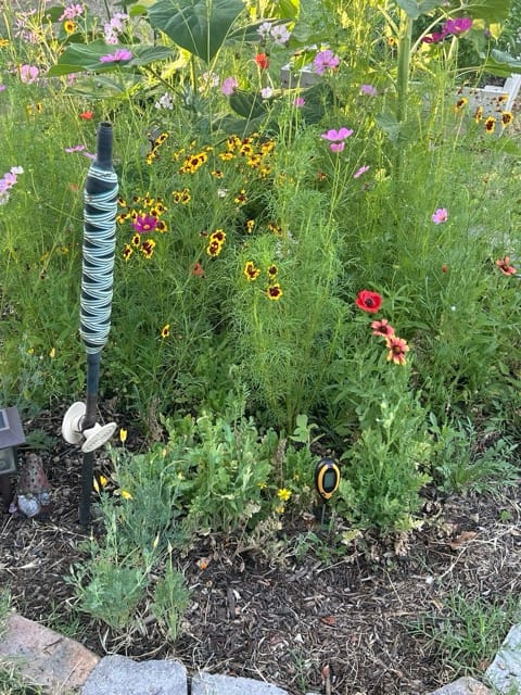 Tall red flowers growing through garden greenery