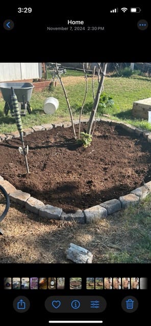 Freshly mulched raised garden bed