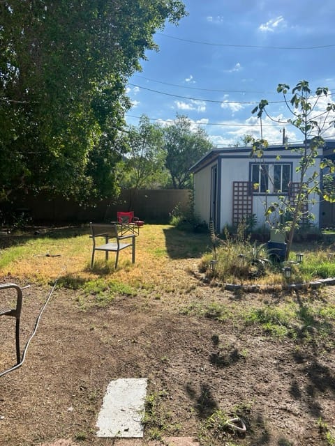 Backyard garden rows beside a small shed