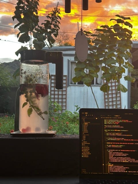 Patio table drink with garden view at sunset