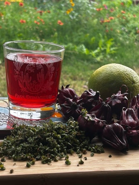 Glass of red hibiscus tea with melon