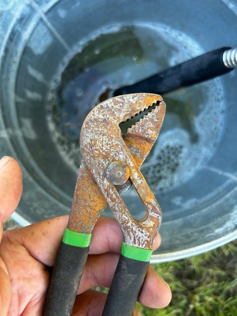 Hand pruning a plant stem with garden shears