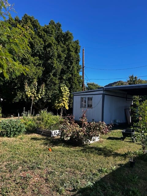 Backyard garden path and shed under blue sky