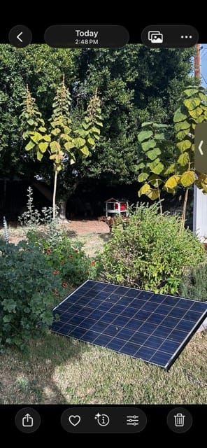 Backyard garden bed with solar panels