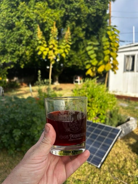 Hand holding glass of tea near solar panels