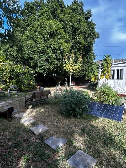 Stone-lined path through a backyard garden