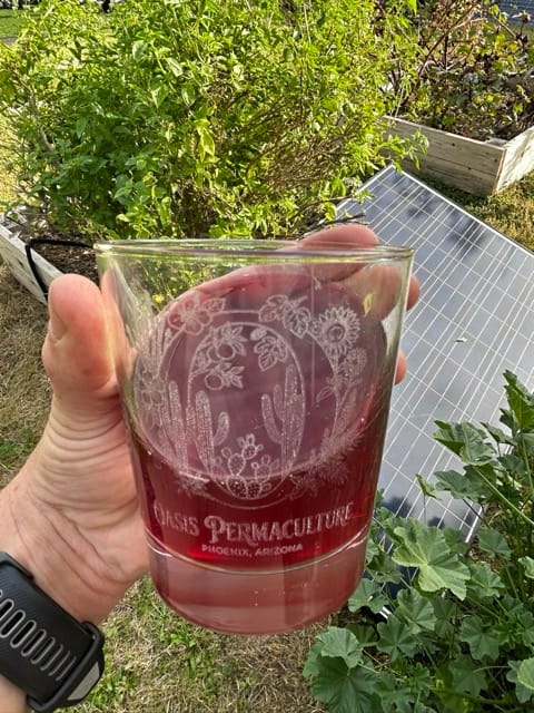 Hand holding jar of red garden preserve