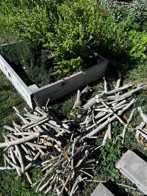 Pile of dried garden branches
