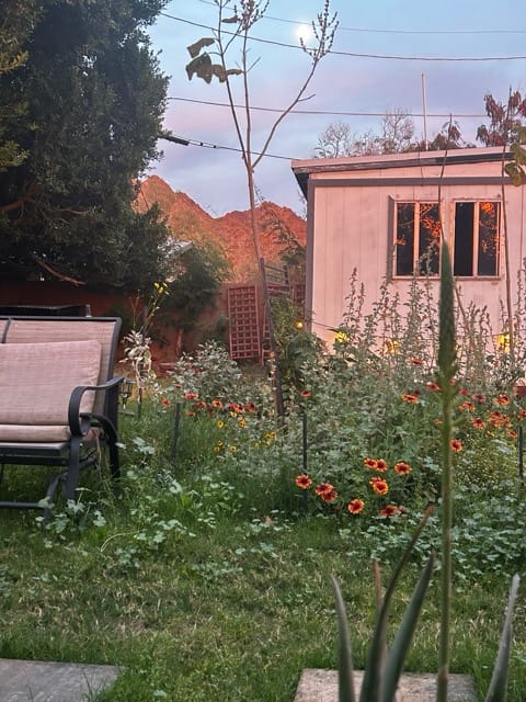 Pink stucco wall beside a blooming garden bed