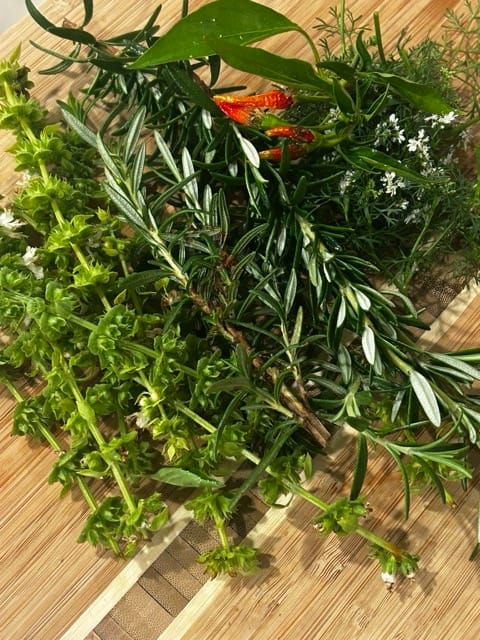 Rosemary stems in a garden close-up
