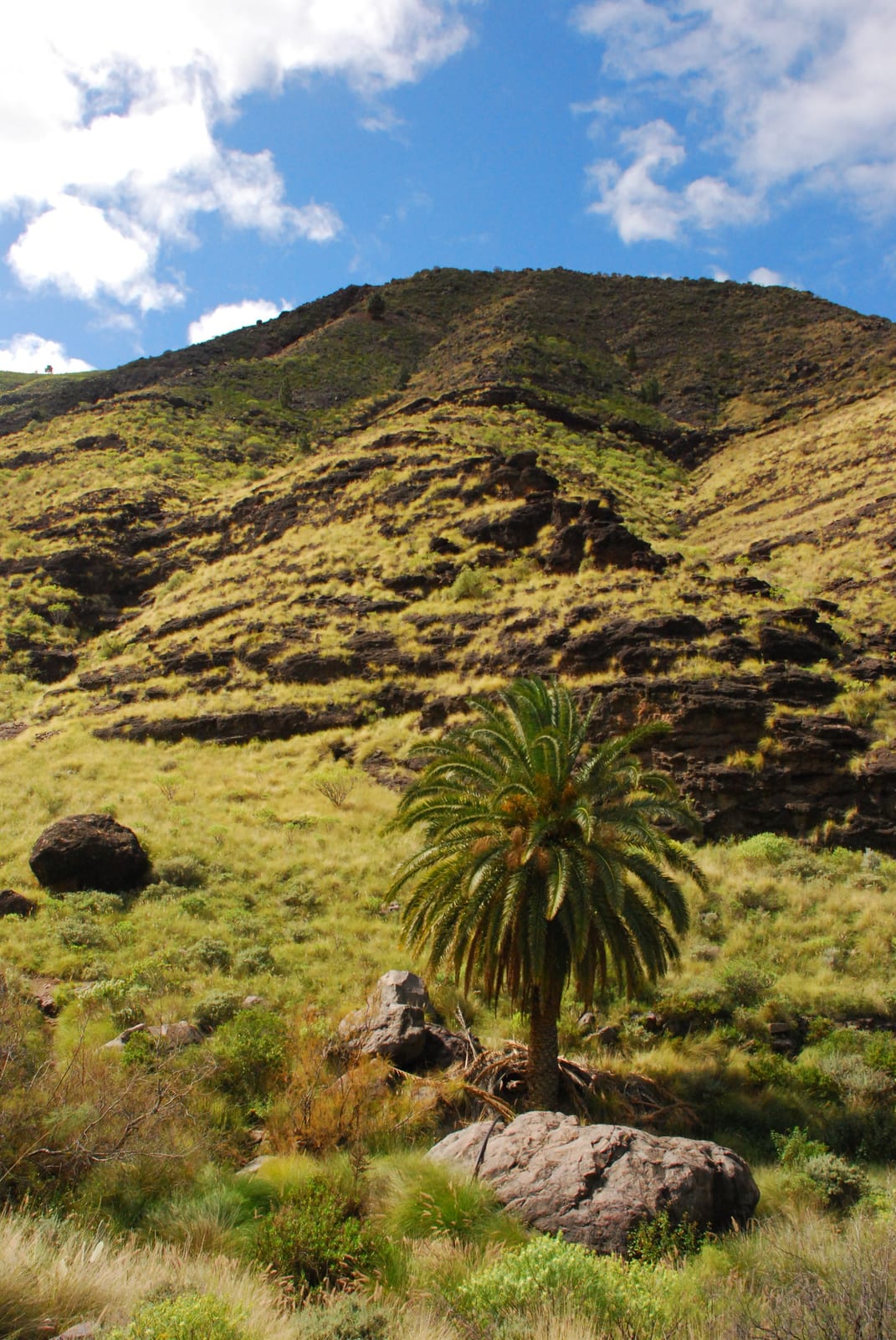 vertical mountain landscape under blue sky in Gran Canaria