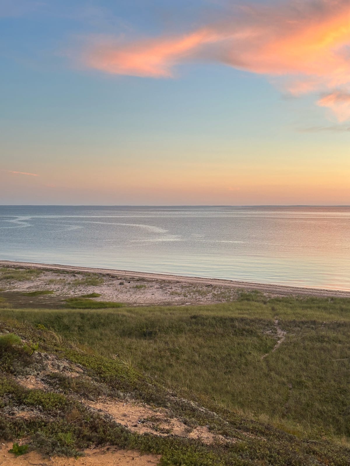 cape cod bay sunset beach marsh grass in Massachusetts