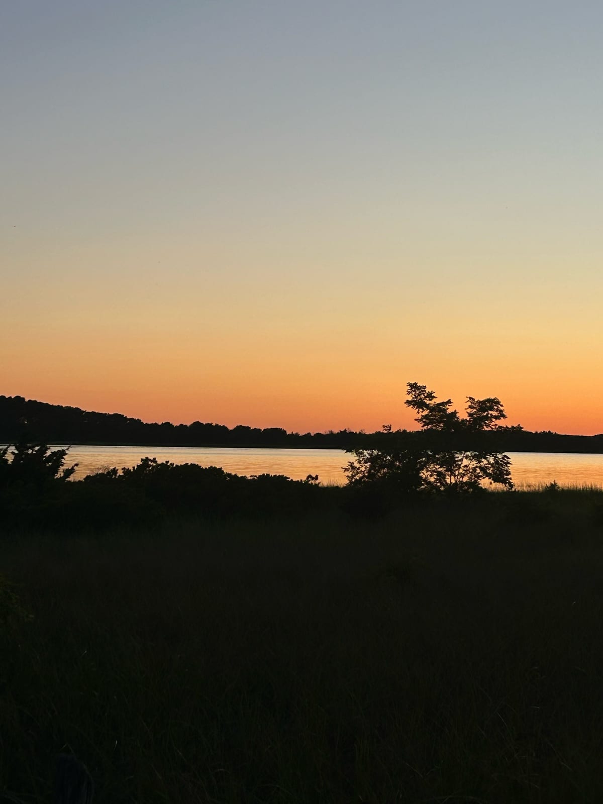 cape cod sunset tree silhouette reflection in Massachusetts