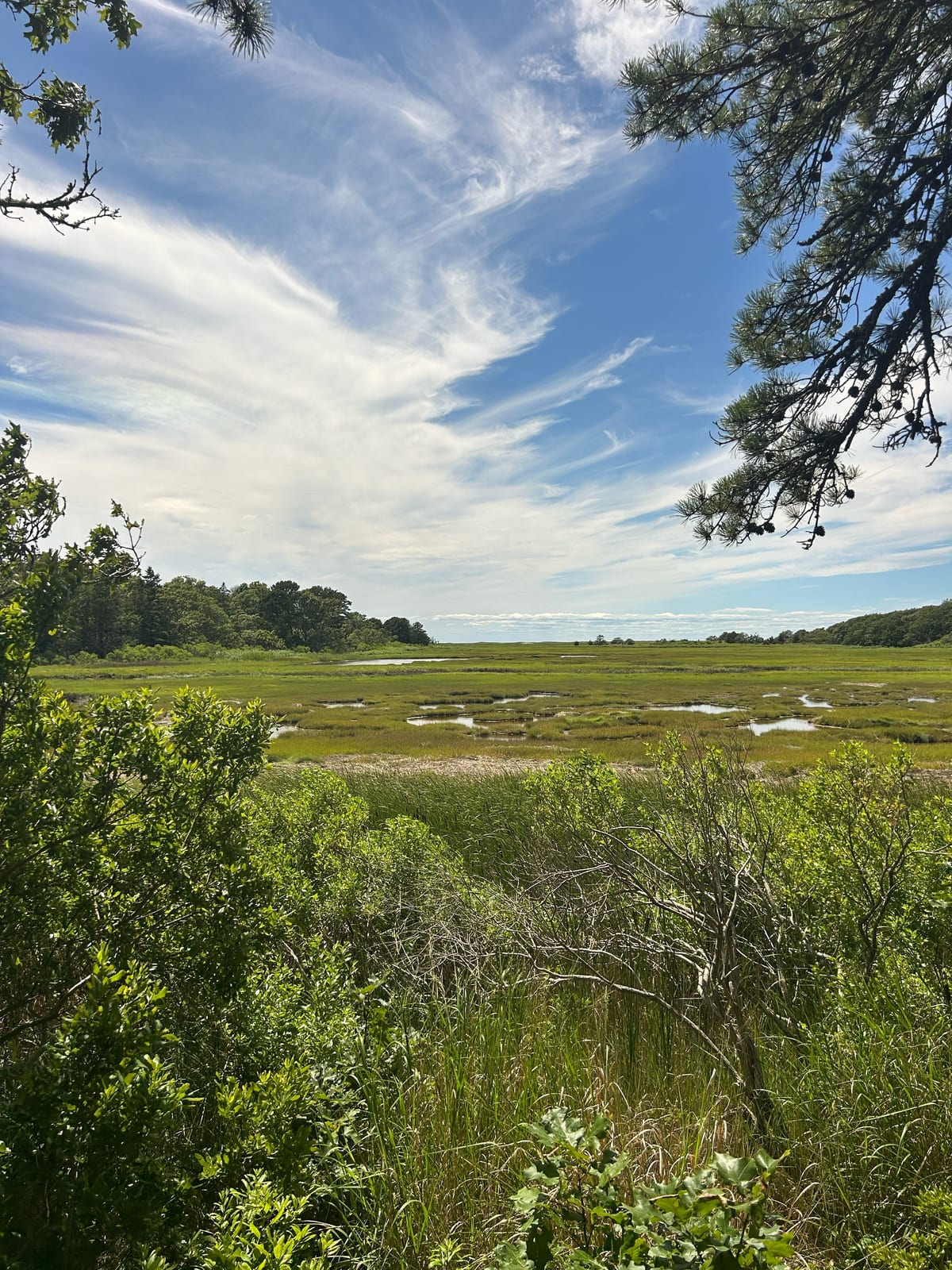 pastoral landscape wispy clouds in the Massachusetts gallery