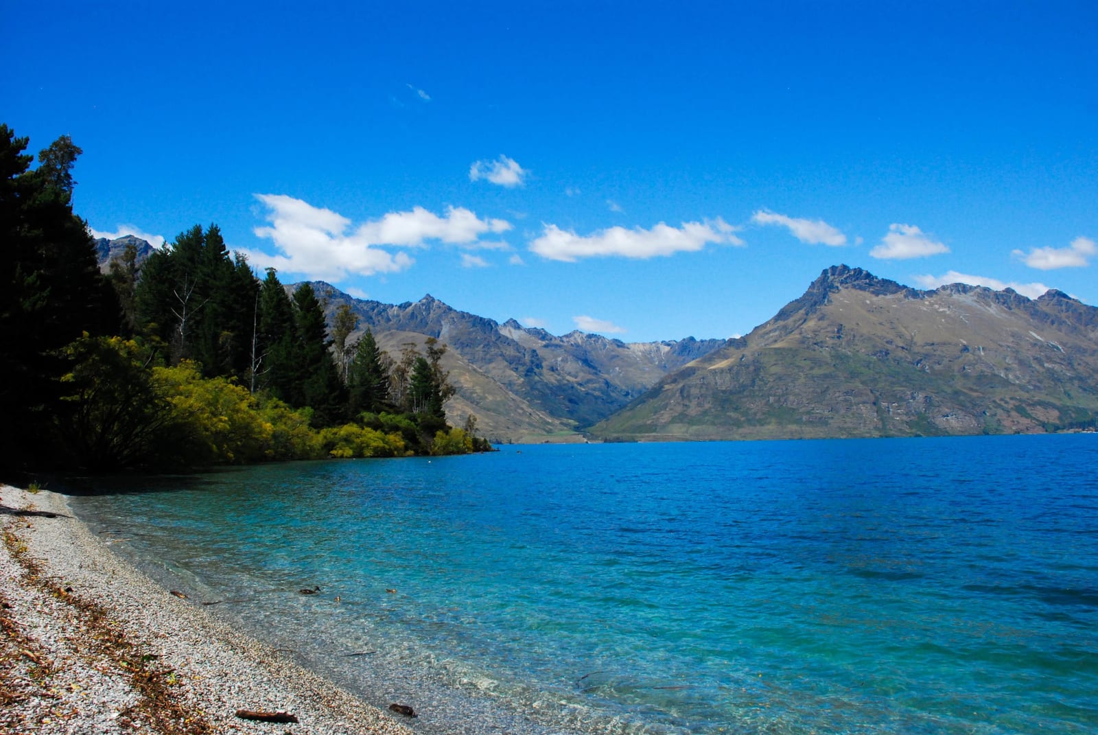 blue water in New Zealand