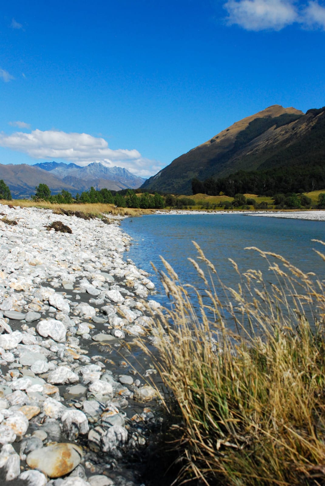 vertical mountain valley landscape in New Zealand