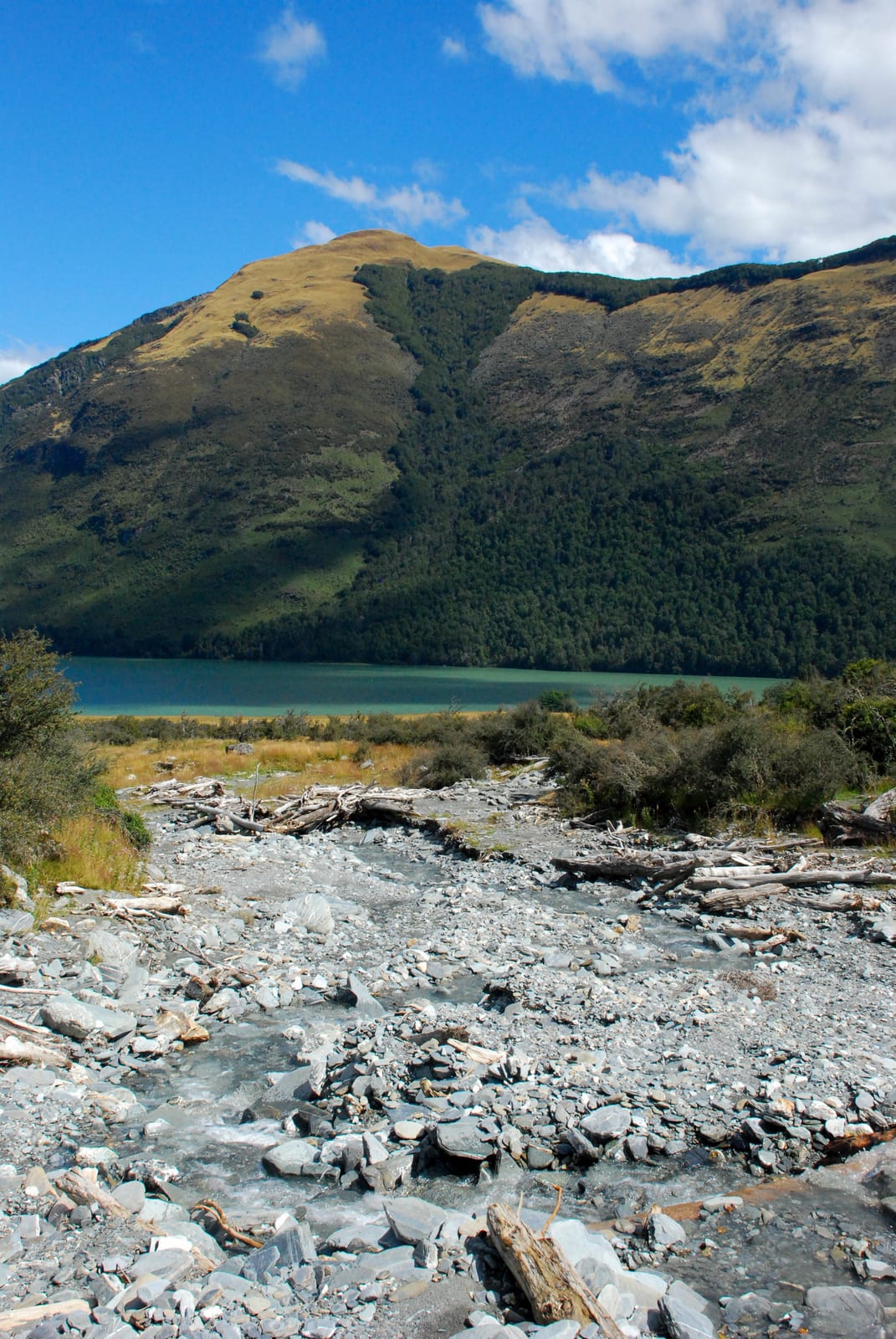 mountain landscape in New Zealand