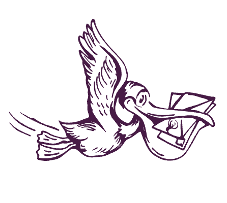 Wise Pelican logo
